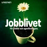 Undvik meningslösa möten – så rensar du i möteskaoset